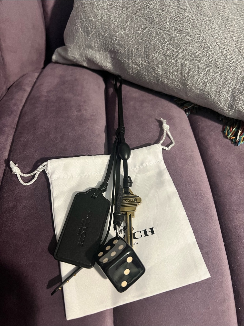 Coach Cluster Bag Charm - Loved Leather Brooklyn 39